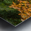 Japanese Garden Portland 4 Metal print