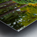 Japanese Garden Bonzai Portland  Metal print