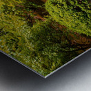 Japanese Garden Portland 3 Metal print