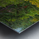 Japanese Garden Portland 2 Metal print