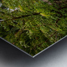 Japanese Garden Portland Metal print