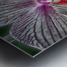 flower nine Metal print