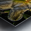 flower seven Metal print