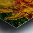 flower four Metal print