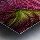 flower eight Metal print