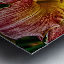 flower two Metal print