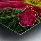 flower three Metal print