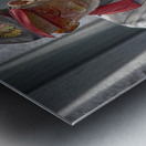 man bayshore fair Metal print