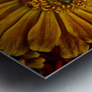 little bug Metal print