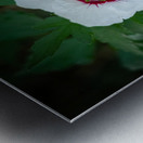 Rose Garden Portland 2 Metal print