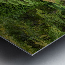 Japanese Garden Portland 12 Metal print