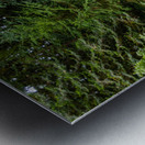 Japanese Garden Portland 13 Metal print