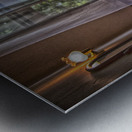 interior 2 Metal print