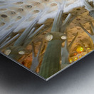 La Sagrada Familia Metal print