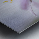 Nemorosa Metal print