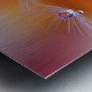 Two Worlds by Juliana Nan  Metal print