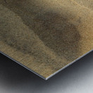 Crab Race Metal print