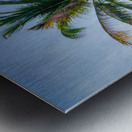 Palm Tree and Sun Star Metal print