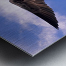 Bird Fight Metal print