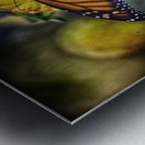 butterfly 7 Metal print