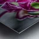 flower 12 Metal print