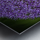 flower 13 Metal print