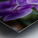 flower 11 Metal print