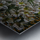 flower 15 Metal print