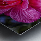 flower 16 Metal print