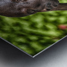 sleeping man 5 Metal print