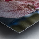 sleeping man three Metal print