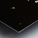 1985 Colorado State University Basketball Metal print