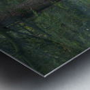 Mist in Trees Metal print