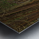 Over The Winter Wetland Metal print