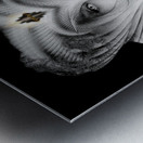 Beauty Immortal Fractal Typography Design Metal print