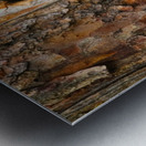 Chipmonk Home Metal print