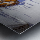 Squaw Valley Rails Metal print