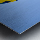 20180811 DSC 0219 Metal print