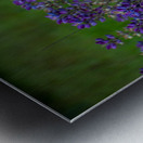 20190418 DSC 0027 Metal print