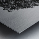 20190418 DSC 0043 2 Metal print