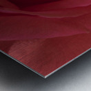 20190601 DSC 0061 3 Metal print