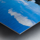 20190917 DSC 0073 Metal print