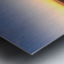 20200110 DSC 0144 Metal print