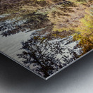 20190918 DSC 0267 4 Metal print