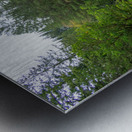 20190918 DSC 0293 Metal print