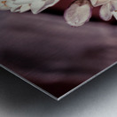 20200425 DSC 0191 2 Metal print