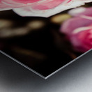 20200425 DSC 0244 Metal print