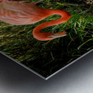 20201004 DSC 0252 Metal print