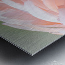 20201004 DSC 0234 Metal print