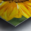 DSC 0149 1 2 Metal print